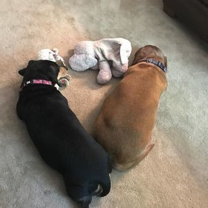 Meet your Posher, Monica